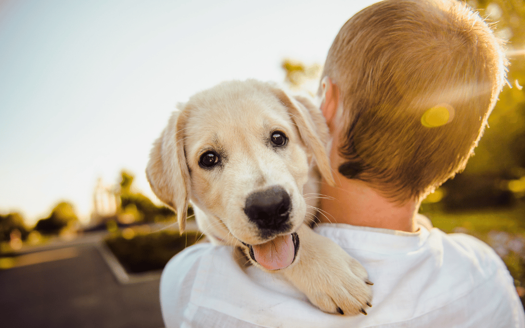 The Power of Puppies in Dementia Care